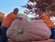 Heavyweight Seed Package