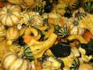Gourds - small ornamental mixed